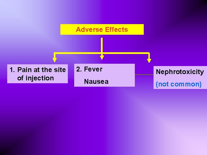 Adverse Effects 1. Pain at the site of injection 2. Fever Nausea Nephrotoxicity (not Adverse Effects 1. Pain at the site of injection 2. Fever Nausea Nephrotoxicity (not