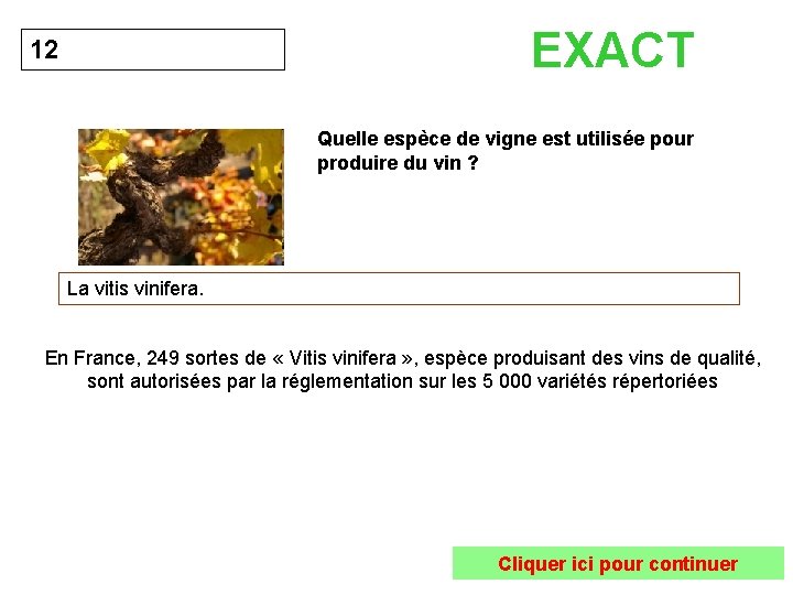 EXACT 12 Quelle espèce de vigne est utilisée pour produire du vin ? La