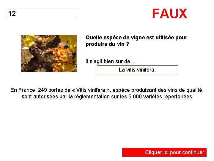 FAUX 12 Quelle espèce de vigne est utilisée pour produire du vin ? Il