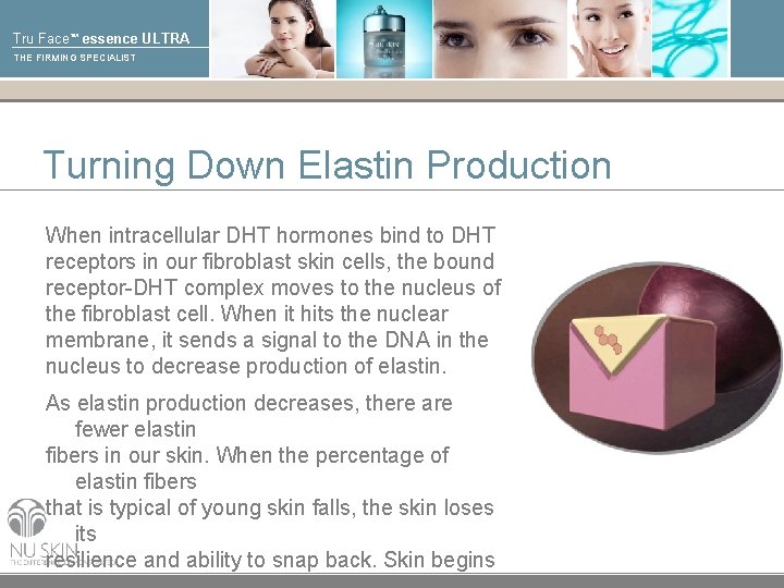 Tru Face™ essence ULTRA THE FIRMING SPECIALIST Turning Down Elastin Production When intracellular DHT