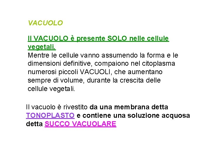 VACUOLO Il VACUOLO è presente SOLO nelle cellule vegetali. Mentre le cellule vanno assumendo