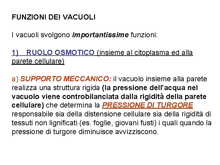 FUNZIONI DEI VACUOLI I vacuoli svolgono importantissime funzioni: 1) RUOLO OSMOTICO (insieme al citoplasma
