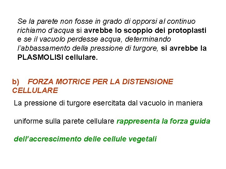 Se la parete non fosse in grado di opporsi al continuo richiamo d’acqua si