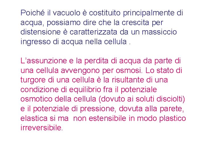 Poiché il vacuolo è costituito principalmente di acqua, possiamo dire che la crescita per
