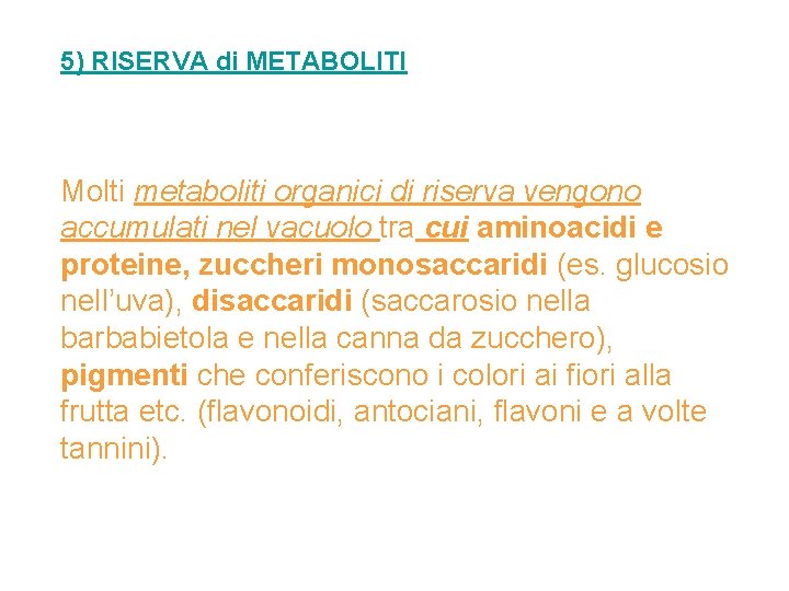 5) RISERVA di METABOLITI Molti metaboliti organici di riserva vengono accumulati nel vacuolo tra