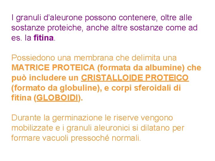 I granuli d’aleurone possono contenere, oltre alle sostanze proteiche, anche altre sostanze come ad