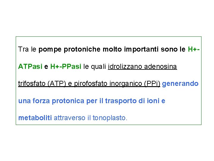 Tra le pompe protoniche molto importanti sono le H+ATPasi e H+-PPasi le quali idrolizzano