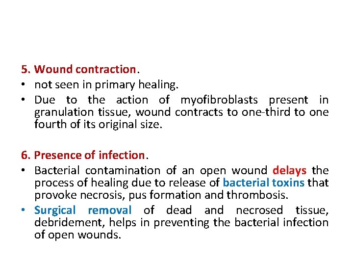 5. Wound contraction. • not seen in primary healing. • Due to the action