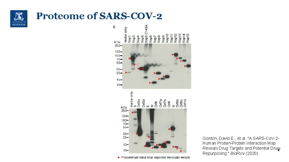 Direct RNA sequencing of SARSCOV2 Lachlan Coin Department
