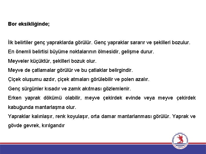 Bor eksikliğinde; İlk belirtiler genç yapraklarda görülür. Genç yapraklar sararır ve şekilleri bozulur. En