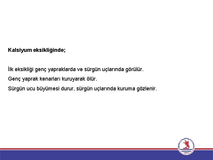 Kalsiyum eksikliğinde; İlk eksikliği genç yapraklarda ve sürgün uçlarında görülür. Genç yaprak kenarları kuruyarak