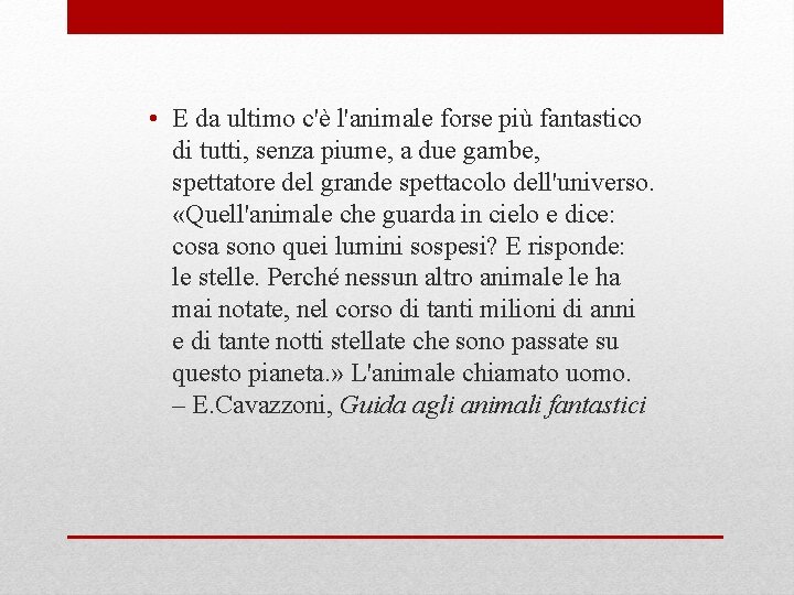  • E da ultimo c'è l'animale forse più fantastico di tutti, senza piume,