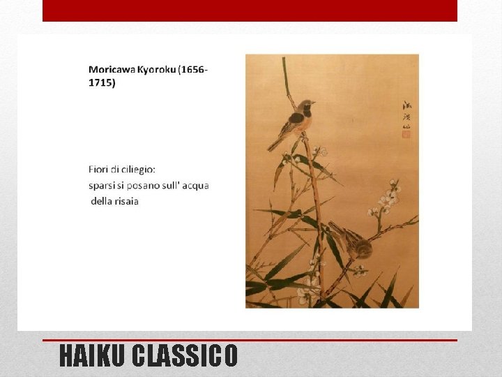 HAIKU CLASSICO 