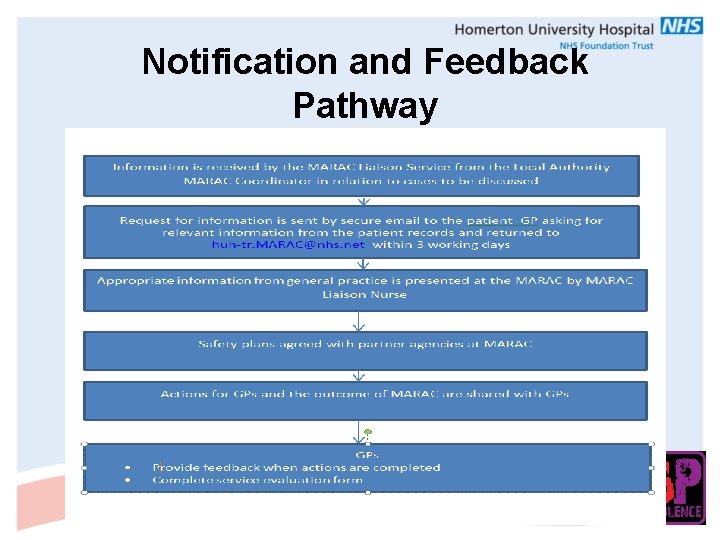 Notification and Feedback Pathway 
