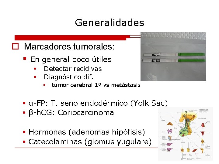 Generalidades o Marcadores tumorales: § En general poco útiles § § Detectar recidivas Diagnóstico