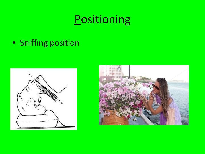 Positioning • Sniffing position 