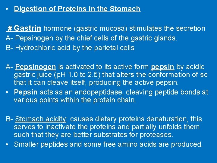  • Digestion of Proteins in the Stomach # Gastrin hormone (gastric mucosa) stimulates