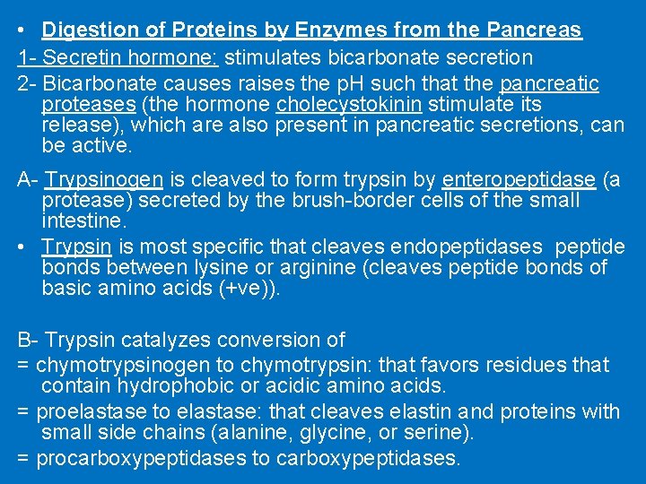  • Digestion of Proteins by Enzymes from the Pancreas 1 - Secretin hormone: