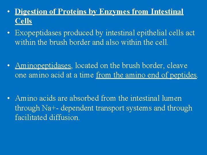  • Digestion of Proteins by Enzymes from Intestinal Cells • Exopeptidases produced by