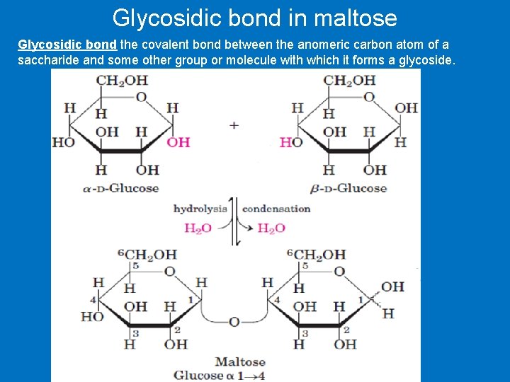 Glycosidic bond in maltose Glycosidic bond the covalent bond between the anomeric carbon atom