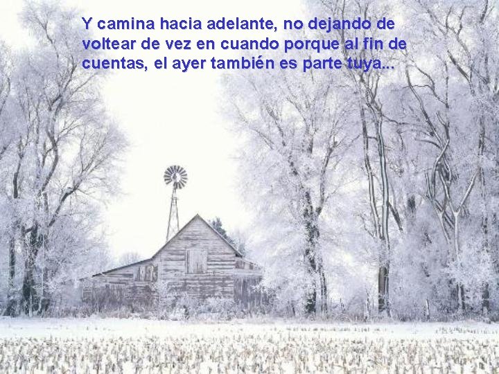 Y camina hacia adelante, no dejando de voltear de vez en cuando porque al