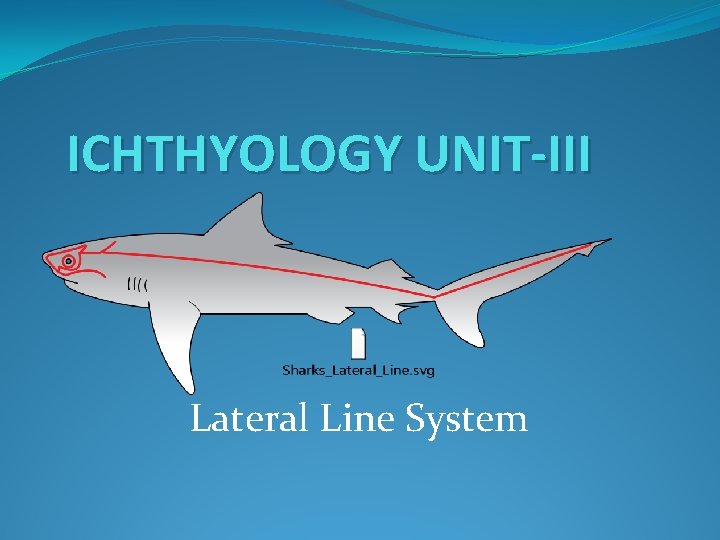 ICHTHYOLOGY UNIT-III Lateral Line System 