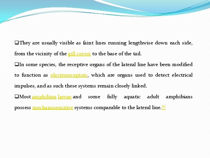 q. They are usually visible as faint lines running lengthwise down each side, from