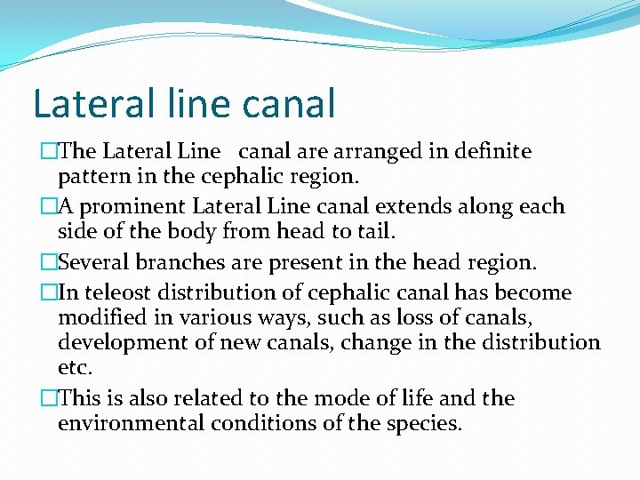 Lateral line canal �The Lateral Line canal are arranged in definite pattern in the