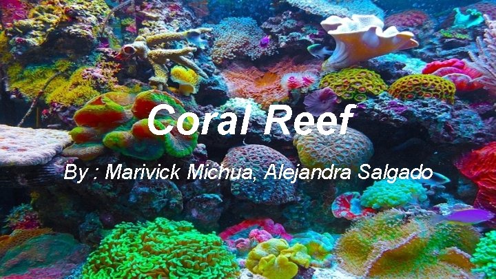 Coral Reef By : Marivick Michua, Alejandra Salgado 