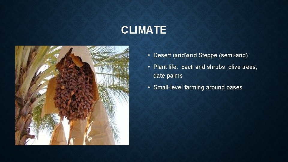 CLIMATE • Desert (arid)and Steppe (semi-arid) • Plant life: cacti and shrubs; olive trees,