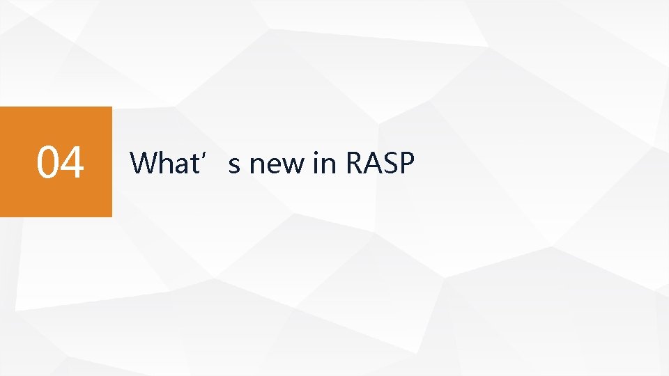 04 What’s new in RASP 