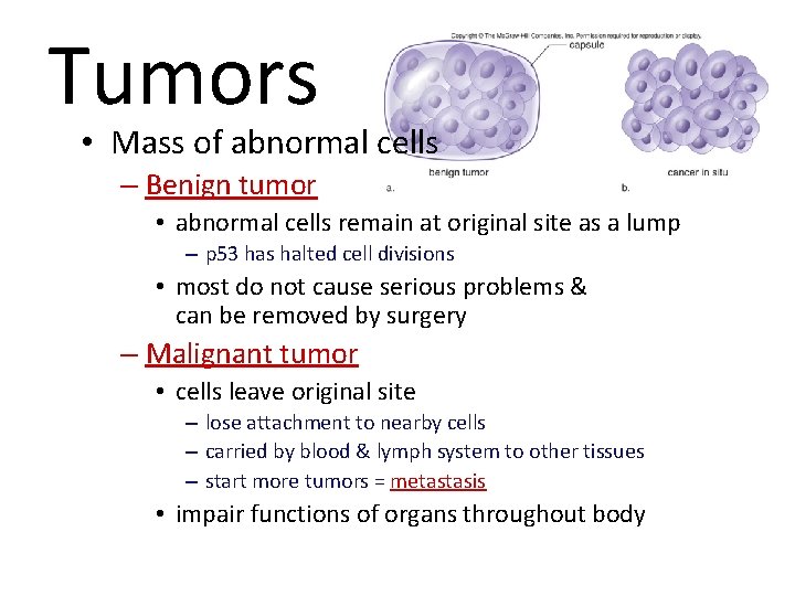 Tumors • Mass of abnormal cells – Benign tumor • abnormal cells remain at