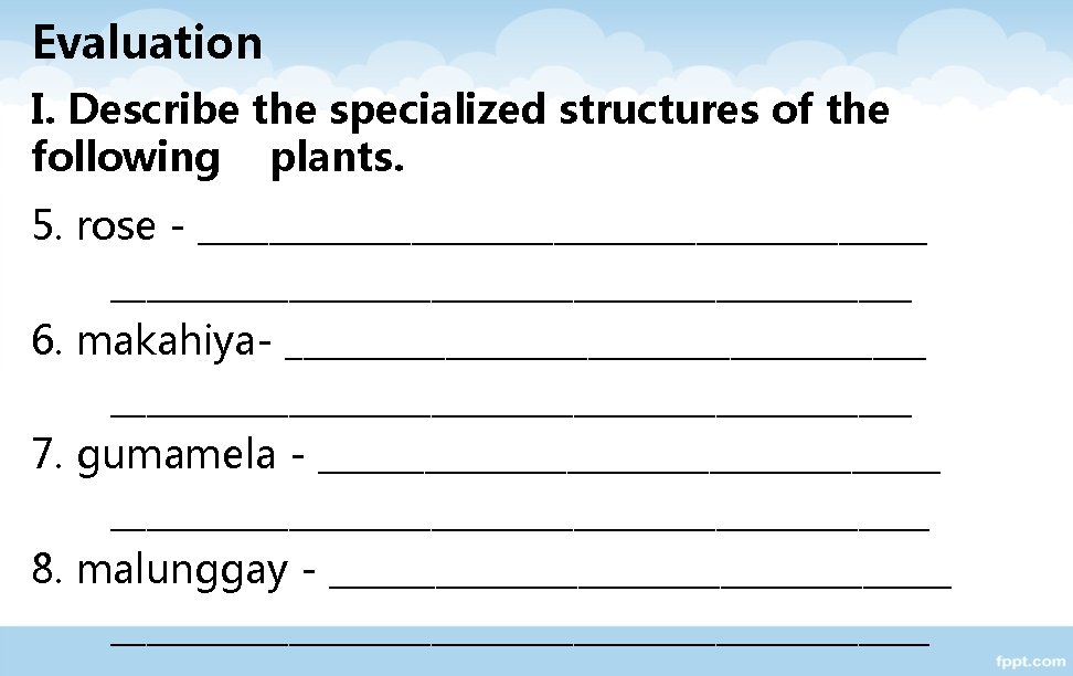 Evaluation I. Describe the specialized structures of the following plants. 5. rose - _____________________________________________