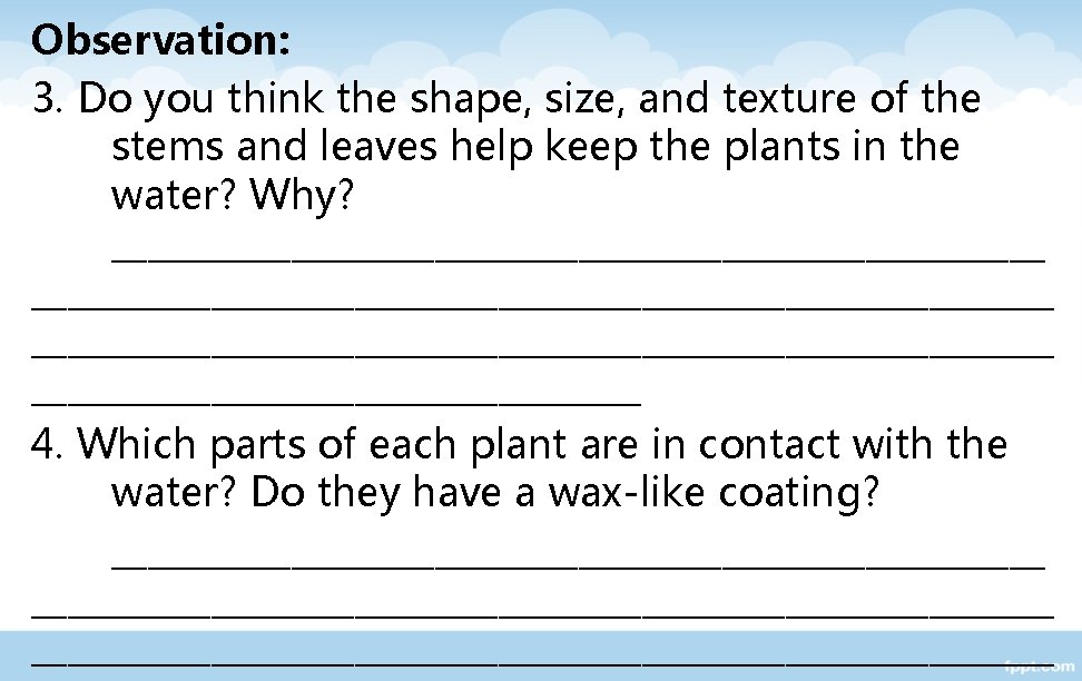 Observation: 3. Do you think the shape, size, and texture of the stems and