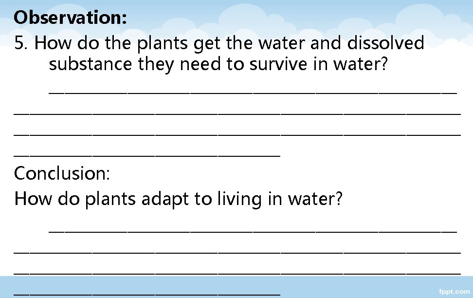 Observation: 5. How do the plants get the water and dissolved substance they need