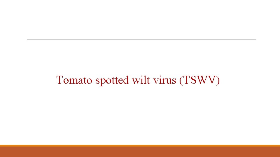 Tomato spotted wilt virus (TSWV) 