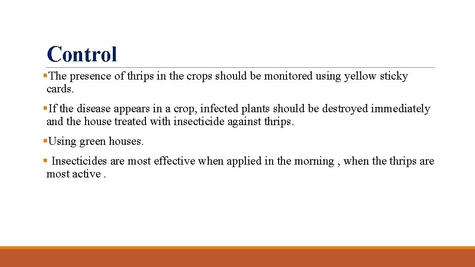 Control §The presence of thrips in the crops should be monitored using yellow sticky