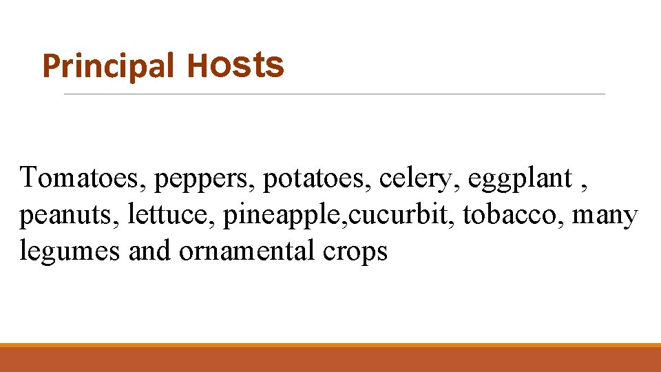 Principal Hosts Tomatoes, peppers, potatoes, celery, eggplant , peanuts, lettuce, pineapple, cucurbit, tobacco, many