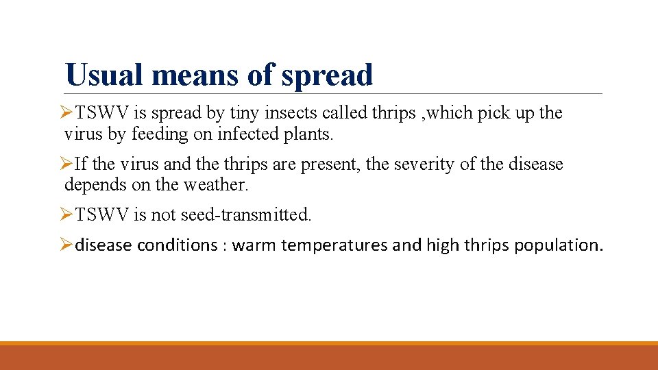 Usual means of spread ØTSWV is spread by tiny insects called thrips , which