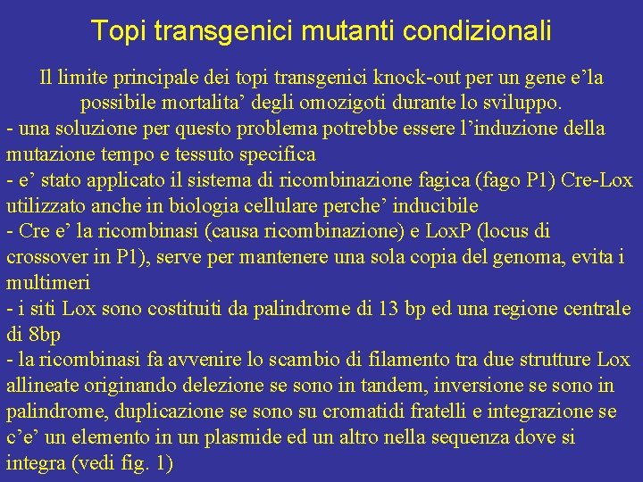 Topi transgenici mutanti condizionali Il limite principale dei topi transgenici knock-out per un gene