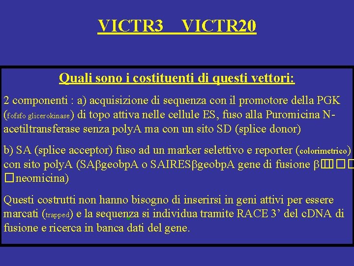 VICTR 3 VICTR 20 Quali sono i costituenti di questi vettori: 2 componenti :