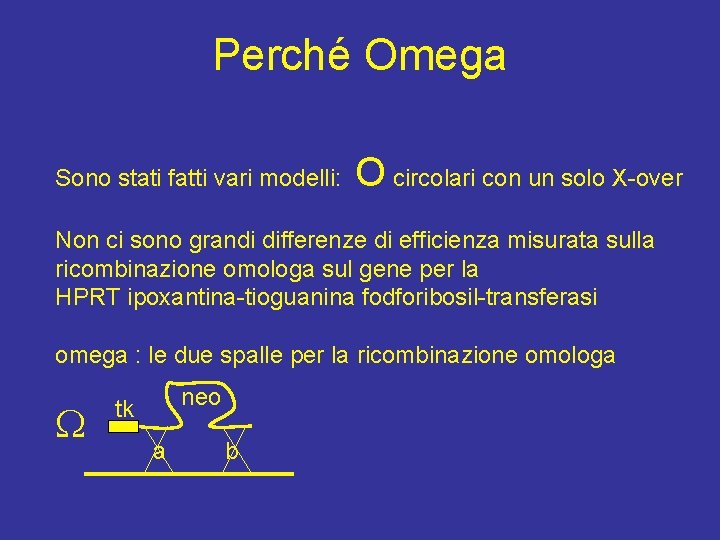 Perché Omega Sono stati fatti vari modelli: O circolari con un solo X-over Non