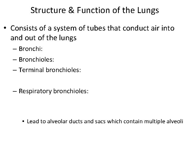 Structure & Function of the Lungs • Consists of a system of tubes that