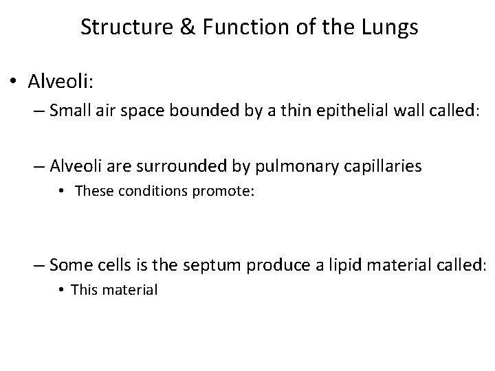 Structure & Function of the Lungs • Alveoli: – Small air space bounded by