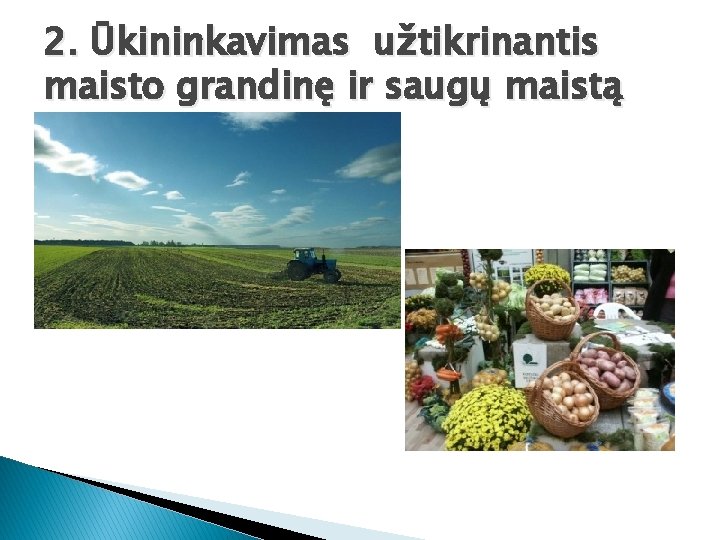 2. Ūkininkavimas užtikrinantis maisto grandinę ir saugų maistą 