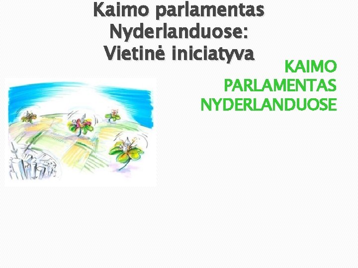 Kaimo parlamentas Nyderlanduose: Vietinė iniciatyva KAIMO PARLAMENTAS NYDERLANDUOSE 