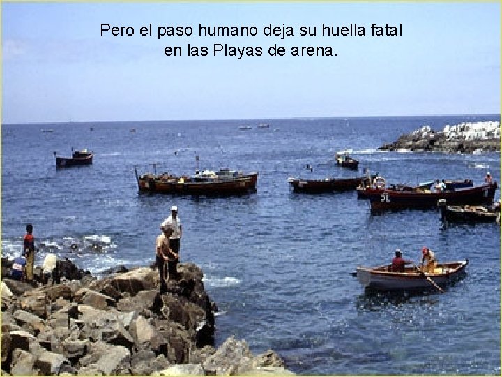 Pero el paso humano deja su huella fatal en las Playas de arena. 