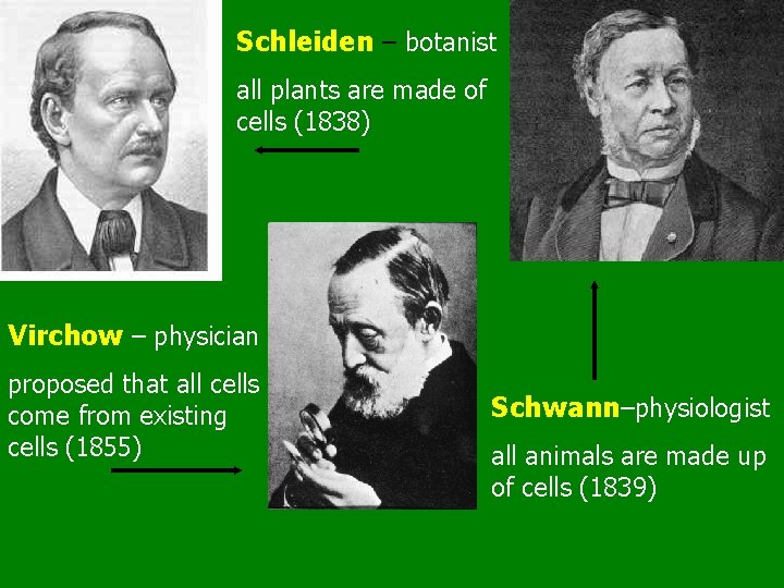 CELLS CH 7 All organisms are made of