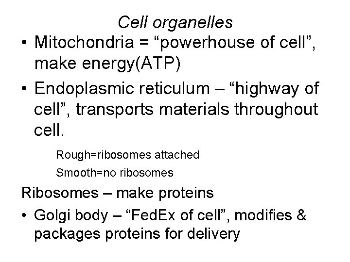 Cell organelles • Mitochondria = “powerhouse of cell”, make energy(ATP) • Endoplasmic reticulum –