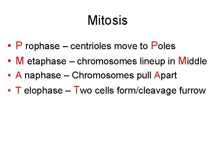 Mitosis • P rophase – centrioles move to Poles • M etaphase – chromosomes